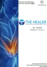 The Healer Journal Title.jpg